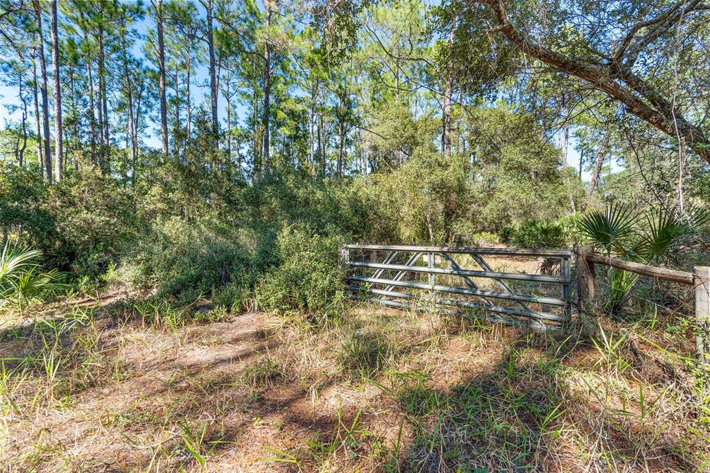 Deep Woods Road DeLand, FL 32720 - Photo 53 of 64
