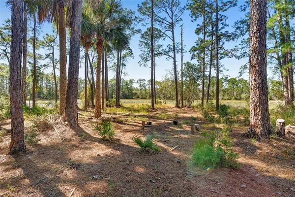 $12,500,000 | Deep Woods Road, DeLand, FL 32720