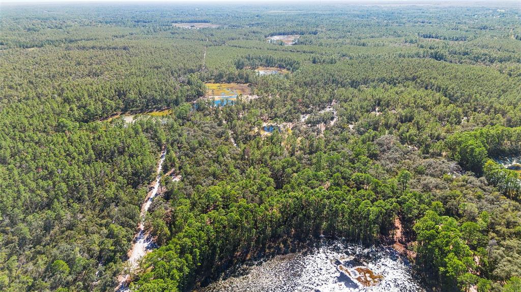 Deep Woods Road DeLand, FL 32720 - Photo 58 of 64