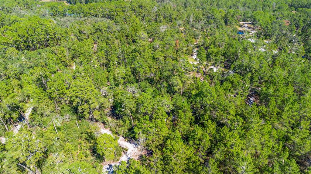Deep Woods Road DeLand, FL 32720 - Photo 60 of 64