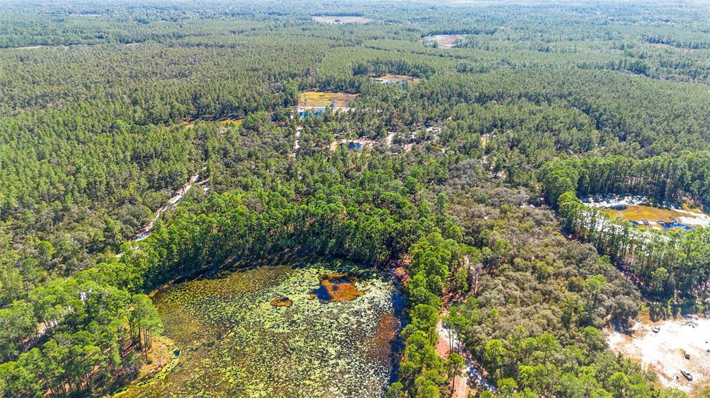 Deep Woods Road DeLand, FL 32720 - Photo 61 of 64