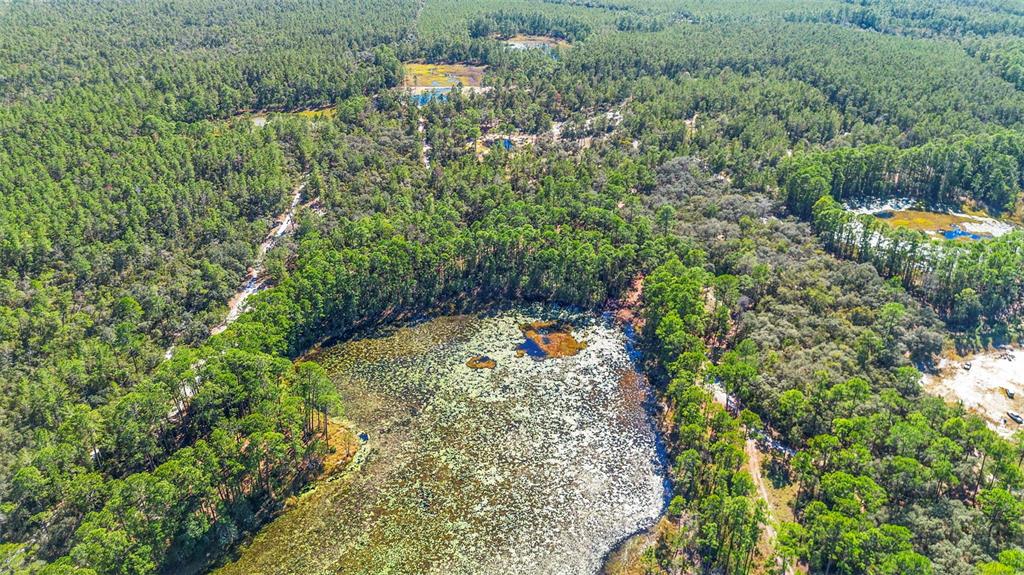 Deep Woods Road DeLand, FL 32720 - Photo 62 of 64