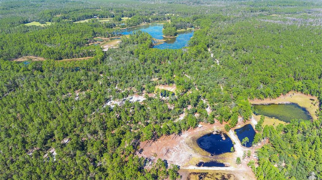 Deep Woods Road DeLand, FL 32720 - Photo 7 of 64