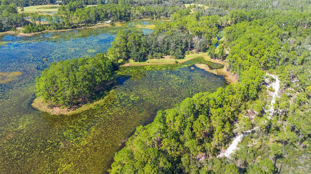 Deep Woods Road DeLand, FL 32720 - Photo 8 of 64