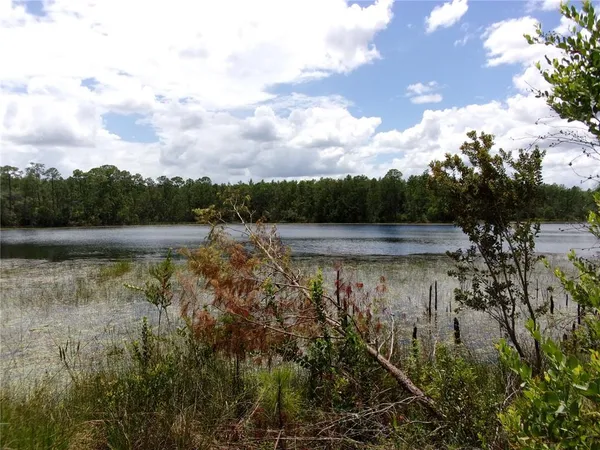 $12,500,000 | Deep Woods Road, DeLand, FL 32720