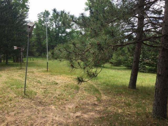 10449 North Forman Road Irons, MI 49644 - Photo 19 of 21 IMG_4805
