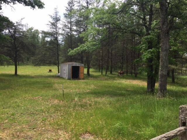 10449 North Forman Road Irons, MI 49644 - Photo 21 of 21 IMG_4809