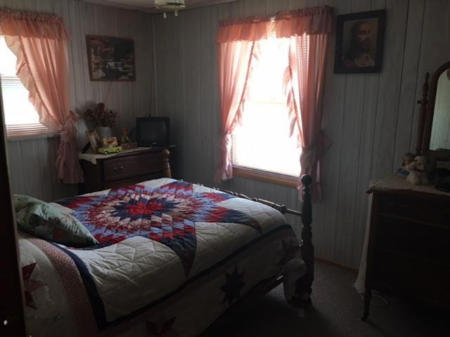 10449 North Forman Road Irons, MI 49644 - Photo 10 of 21 IMG_4795