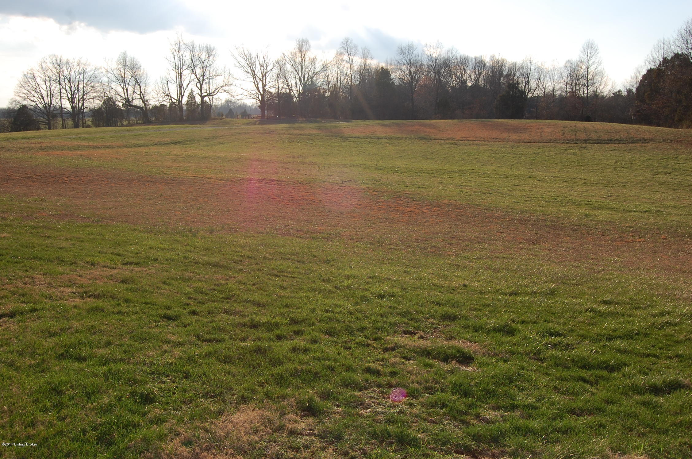 759 Grogham Road Clarkson, KY 42726 - Photo 68 of 72 DSC_8785