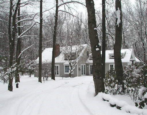 a view of outdoor space covered with snow in the background
