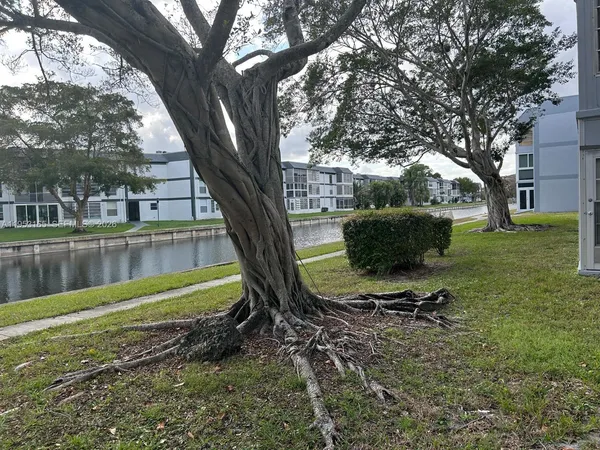 a view of a backyard with a table chairs and a large tree