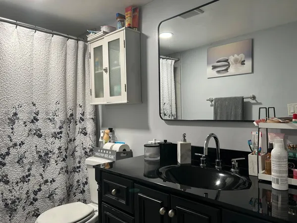 a bathroom with a sink a toilet and a mirror