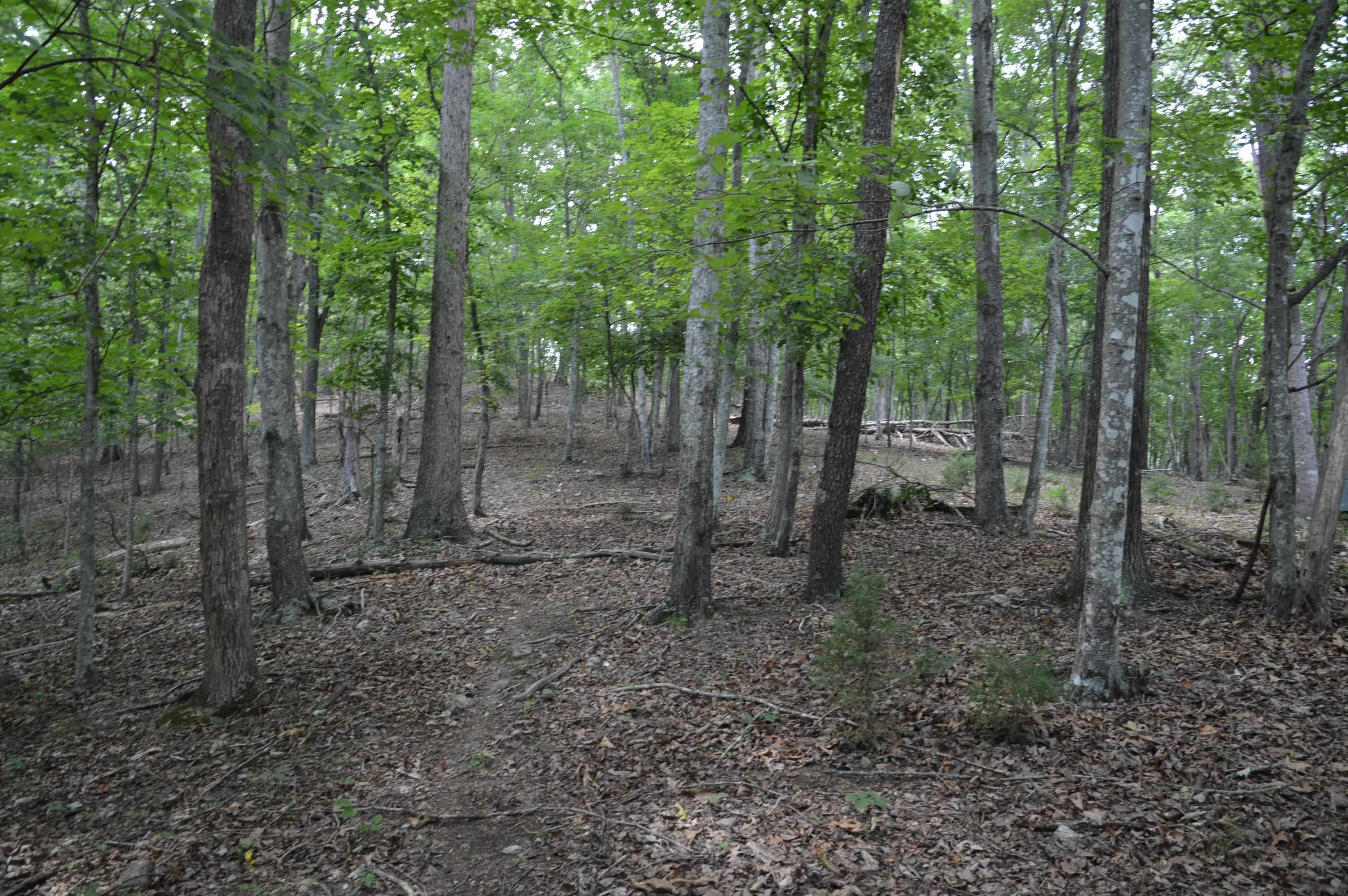 Tbd Paris Mountain Road Elliston, VA 24087 - Photo 7 of 11 Gallery Image 7