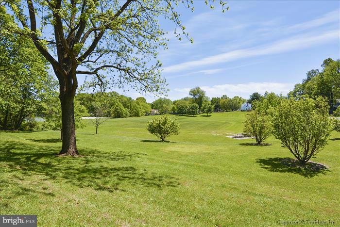 15507 Good Hope Road Silver Spring, MD 20905 - Photo 27 of 30 a view of a garden with a tree