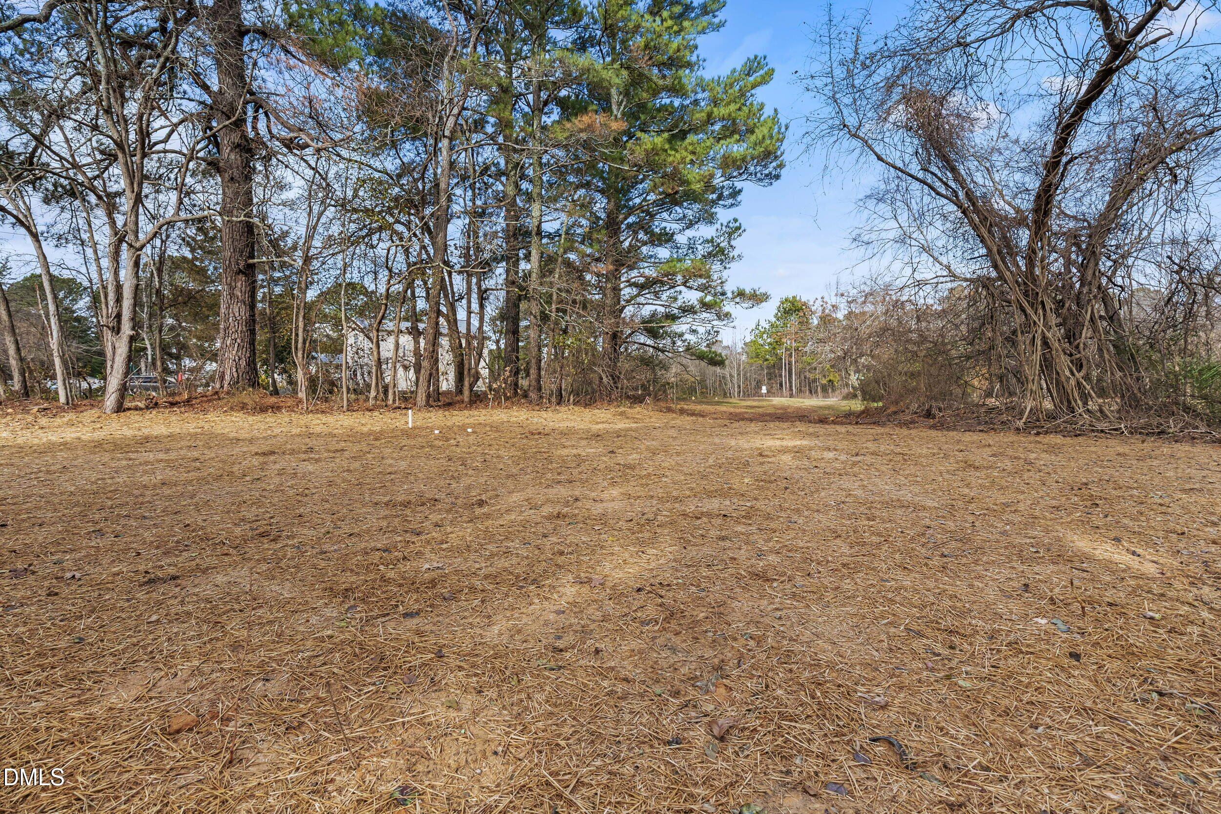 6731 Knightdale-Eagle Rock Road Wendell, NC 27591 - Photo 23 of 25 a view of dirt yard with large trees