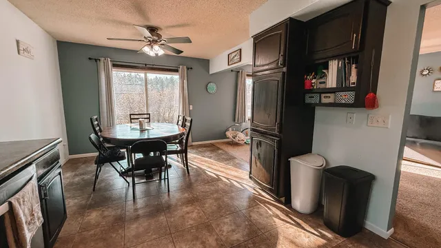 $250,000 | 621 Elm Street, Paynesville, MN 56362