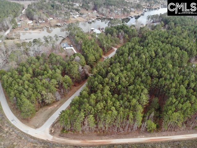 Lot 104 Pineland Road Chappells, SC 29037 - Photo 25 of 25
