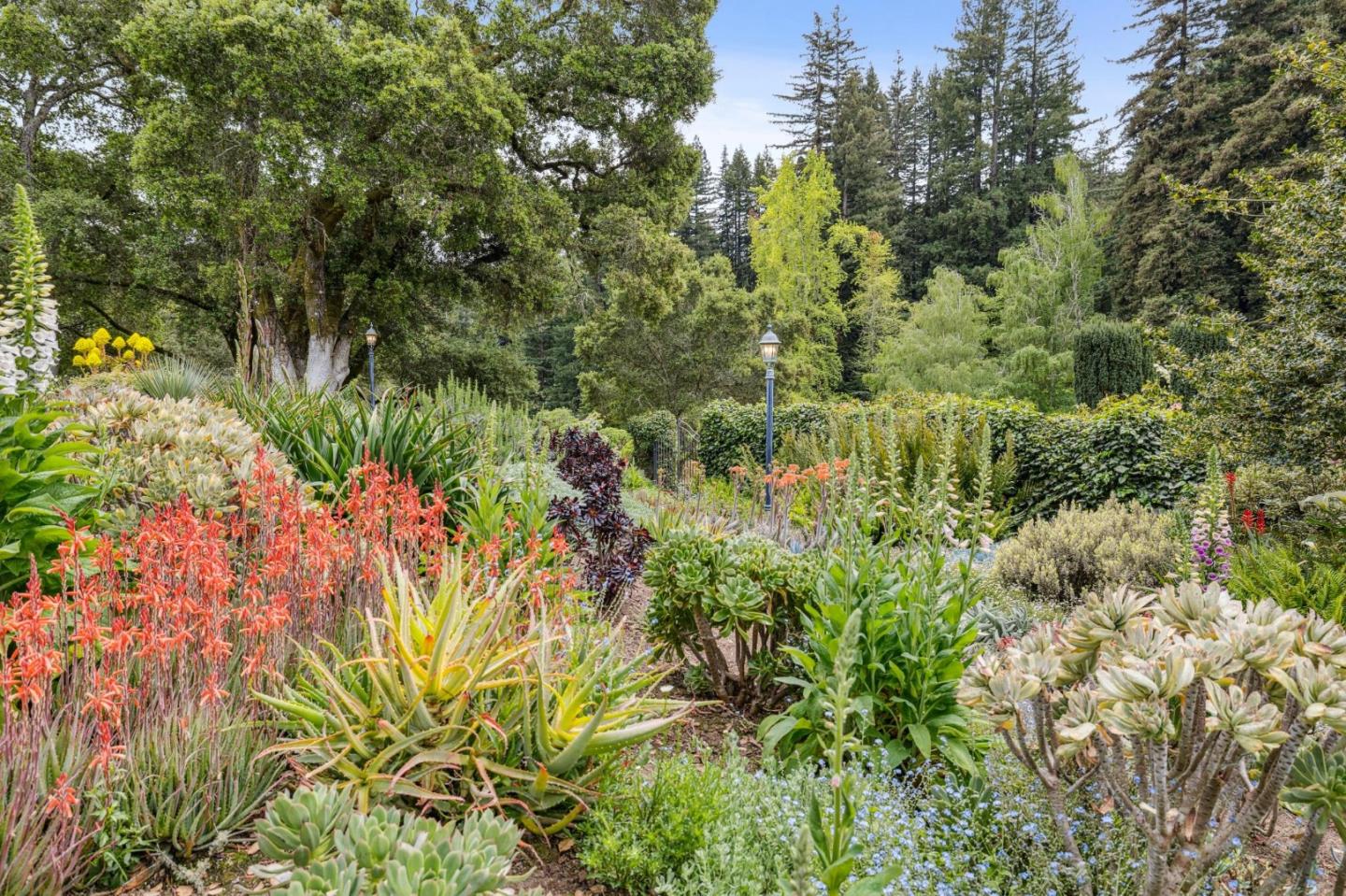 100 Cañada Road Woodside, CA 94062 - Photo 42 of 79 a view of a garden with plants
