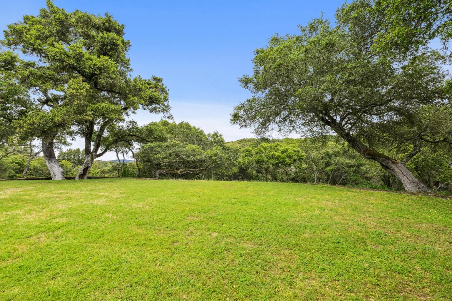 100 Cañada Road Woodside, CA 94062 - Photo 43 of 79 a view of a field with trees in front of it