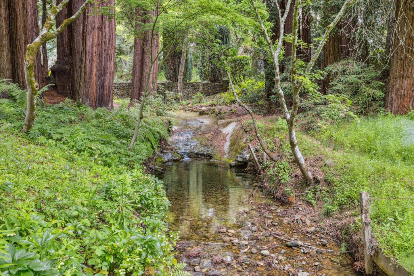 100 Cañada Road Woodside, CA 94062 - Photo 49 of 79 a view of a garden with plants