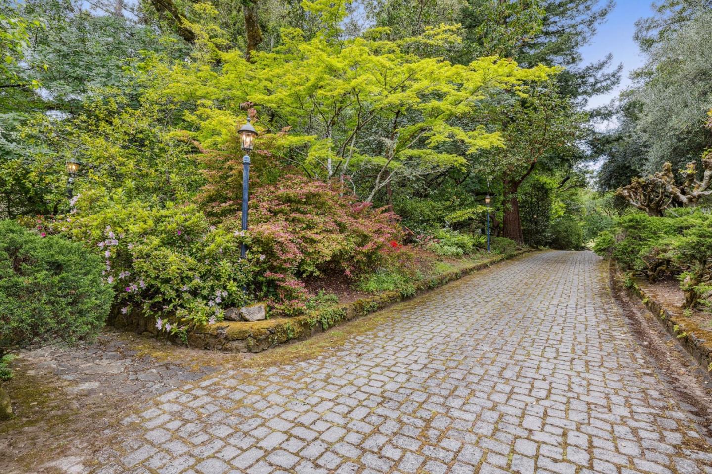 100 Cañada Road Woodside, CA 94062 - Photo 52 of 79 a view of a garden with plants
