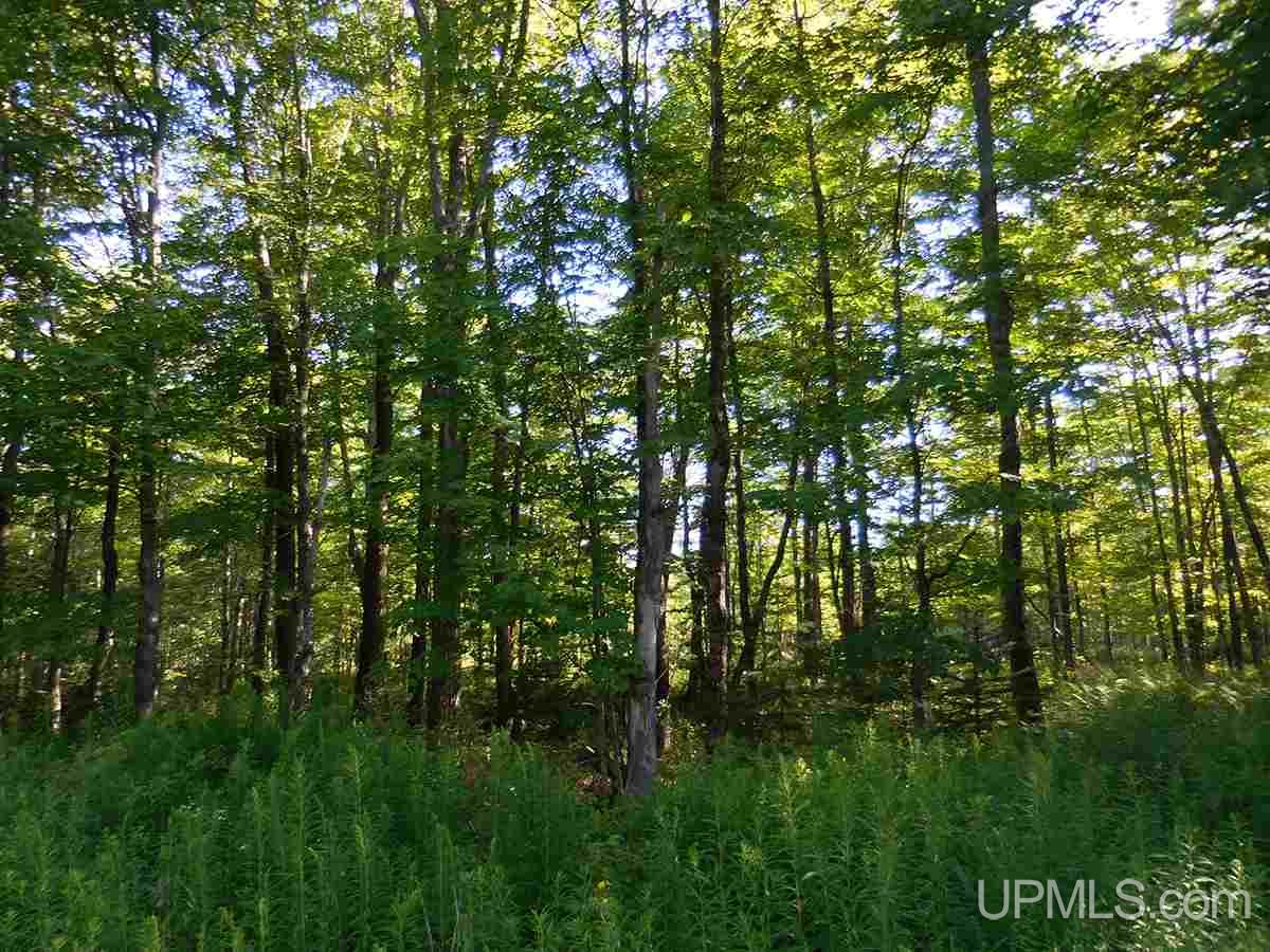 11284 West Quarry Road, Unit PARCEL 4 Gulliver, MI 49840 - Photo 10 of 27 Gallery Image 10