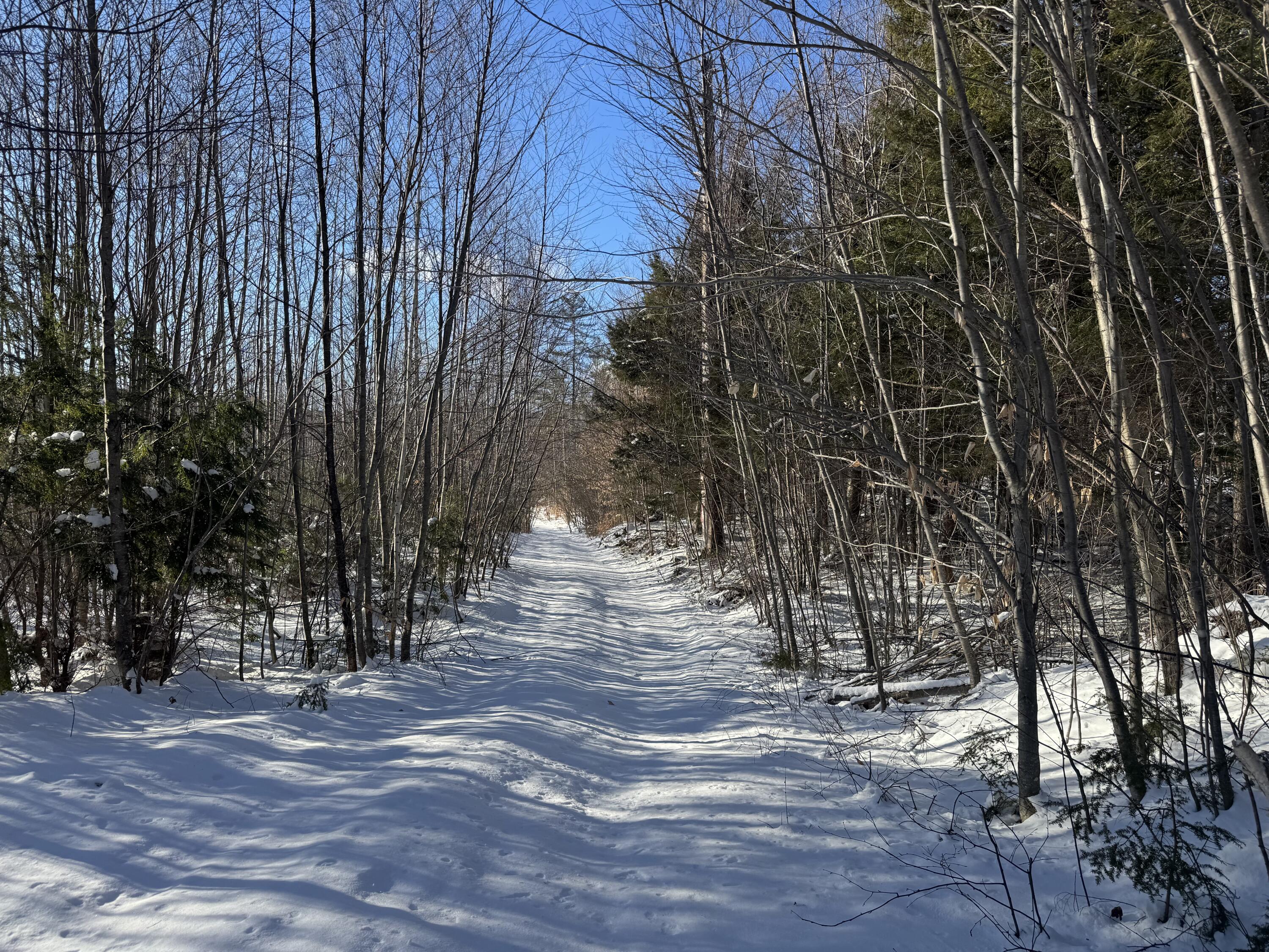 Lot 4-5 Douglass Mill Road Porter, ME 04068 - Photo 2 of 14 IMG_4419