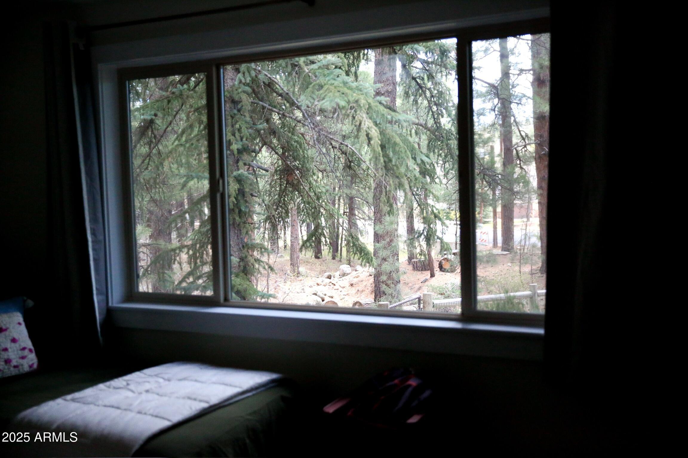 480 Cochise Road Munds Park, AZ 86017 - Photo 61 of 62 a view of a window in a room