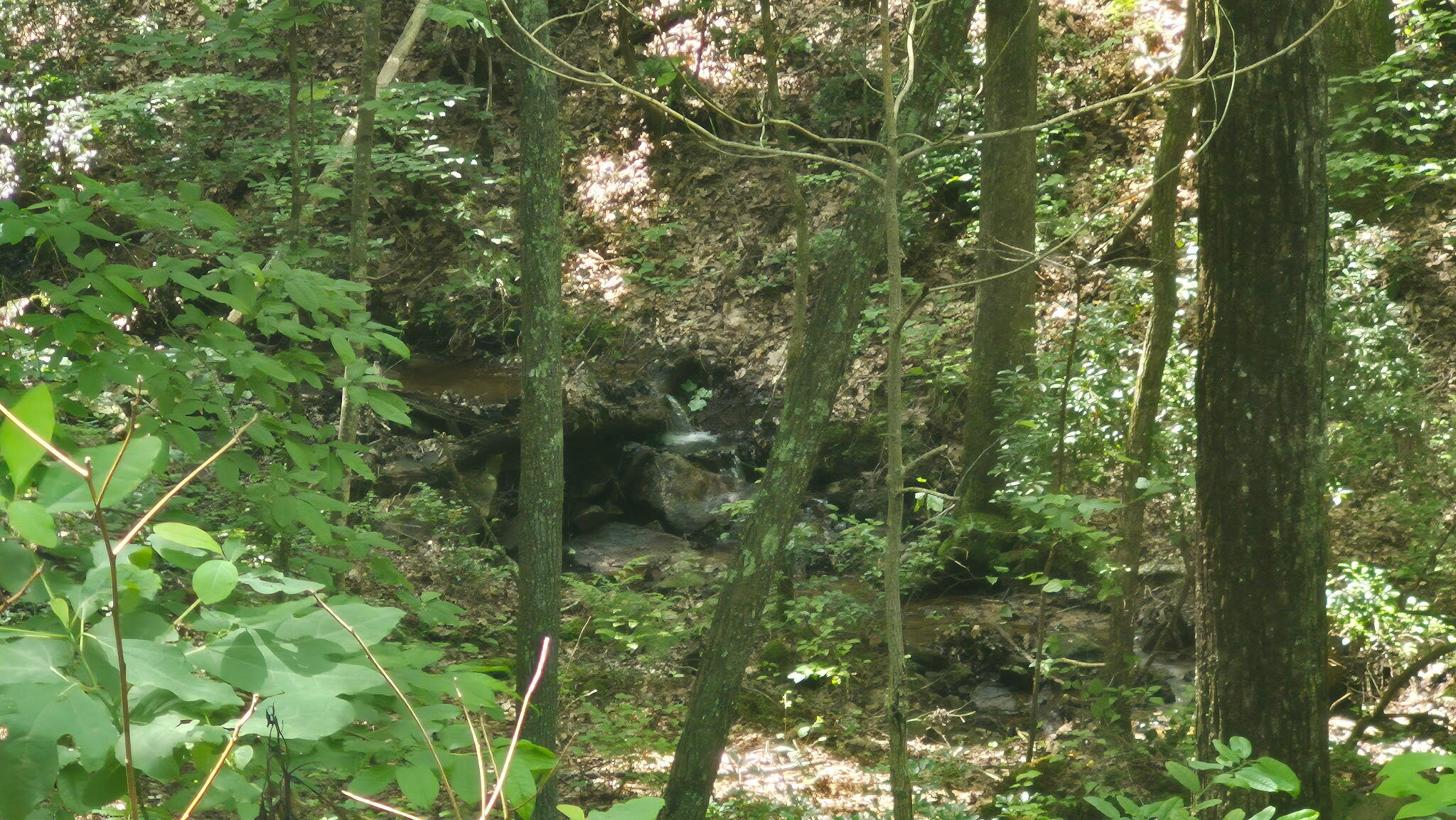 1255 Cherokee Path, Unit JF257 Jasper, TN 37347 - Photo 10 of 45 279273273188975587