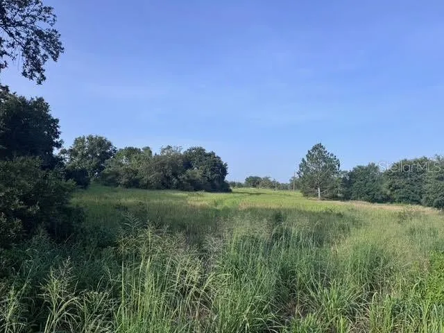 a view of an outdoor space and a yard
