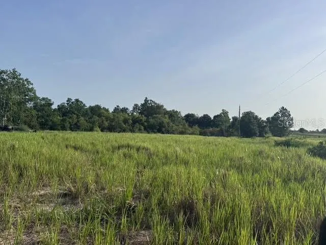a view of a lush green space