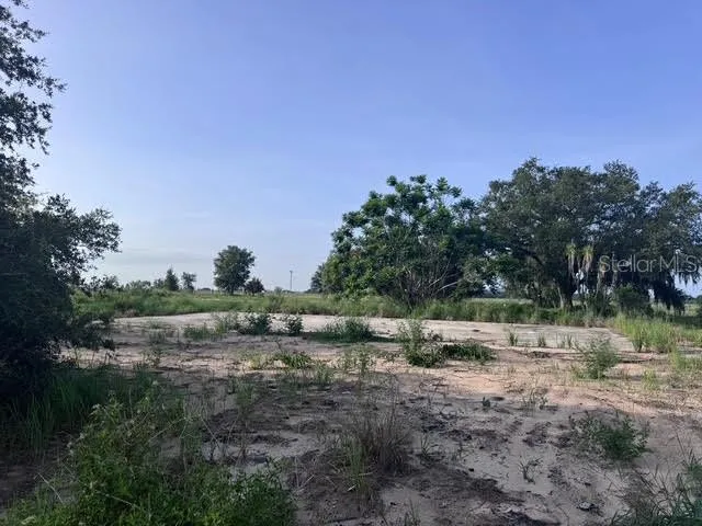 a view of outdoor with green space