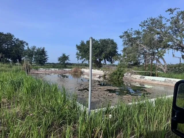 a view of a garden with trees