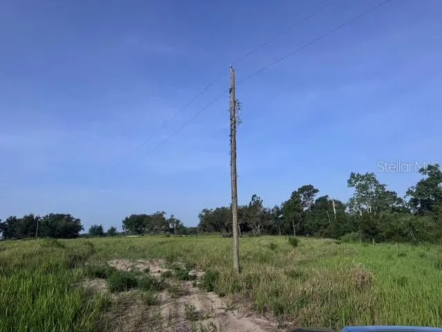 a view of a field with a tree in the background