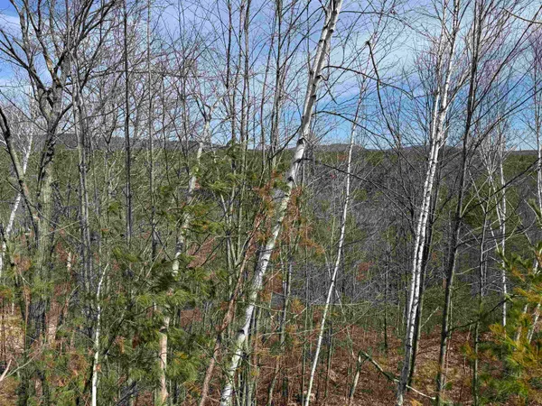 $525,000 | 149 Sleepy Hollow Road, Wakefield, NH 03830
