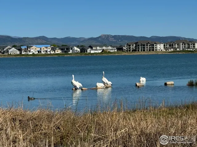 a view of a garden in the house