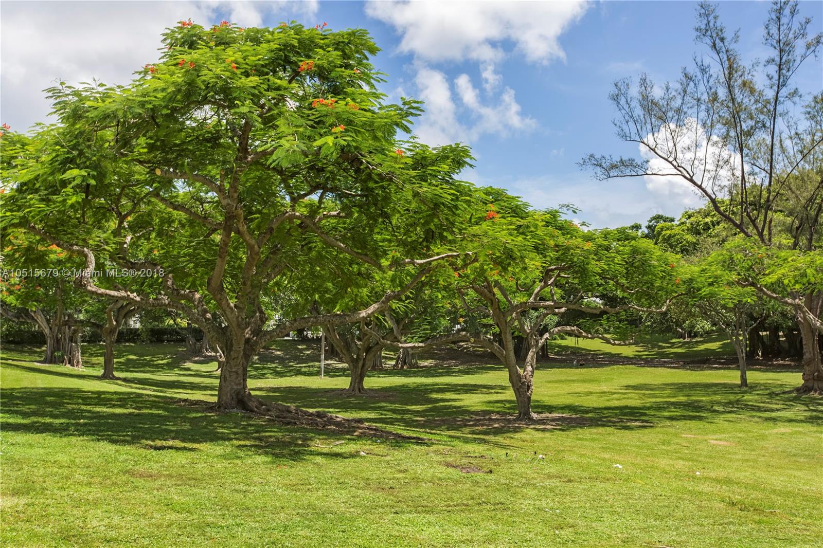 4131 Barbarossa Avenue Miami, FL 33133 - Photo 19 of 19