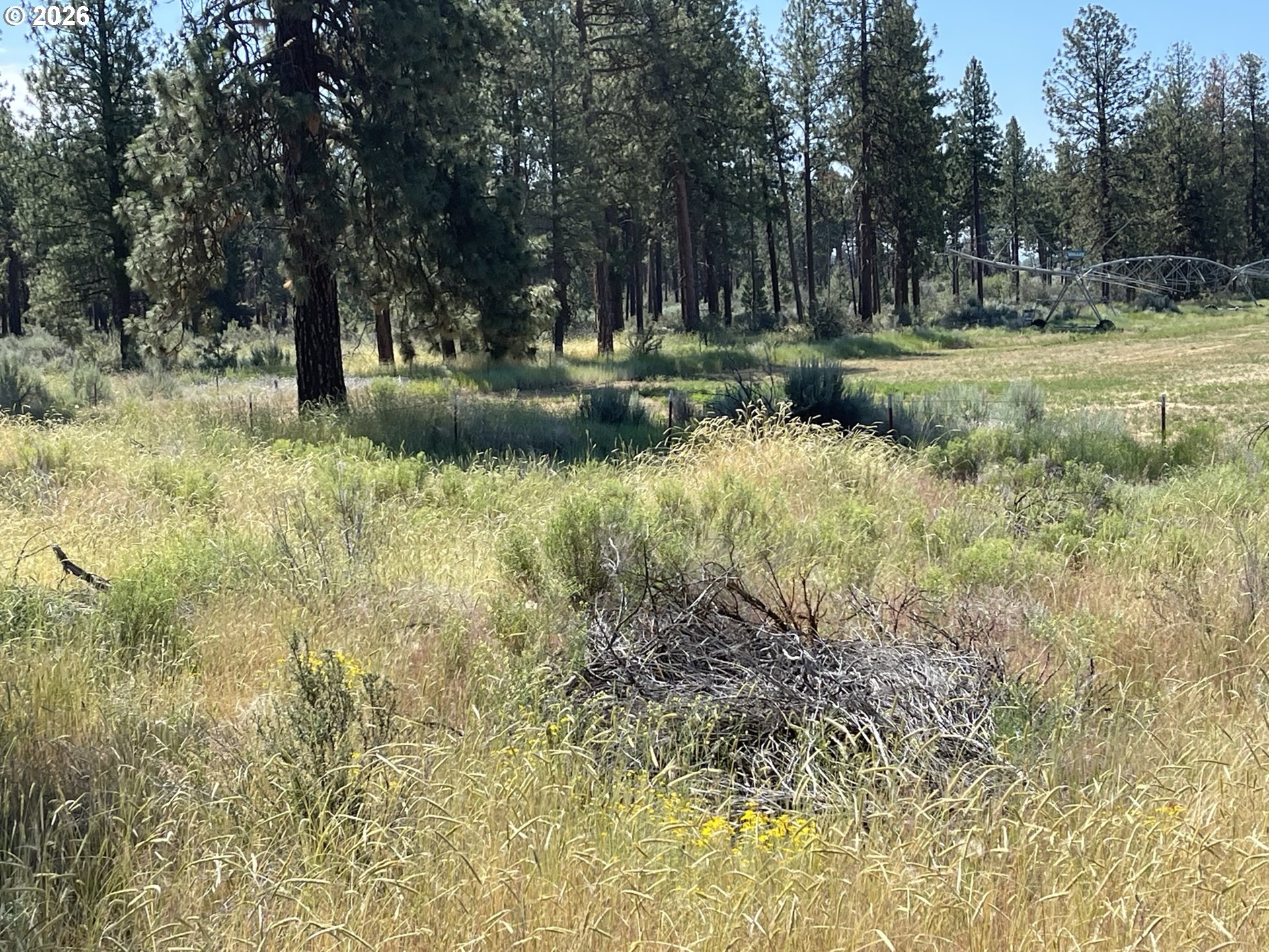 South Chiloquin Road, Unit 100 Chiloquin, OR 97624 - Photo 2 of 9