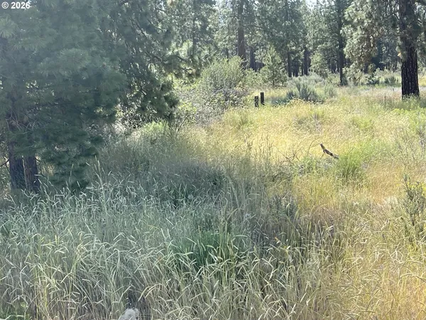 $14,000 | South Chiloquin Road, Unit 100, Chiloquin, OR 97624
