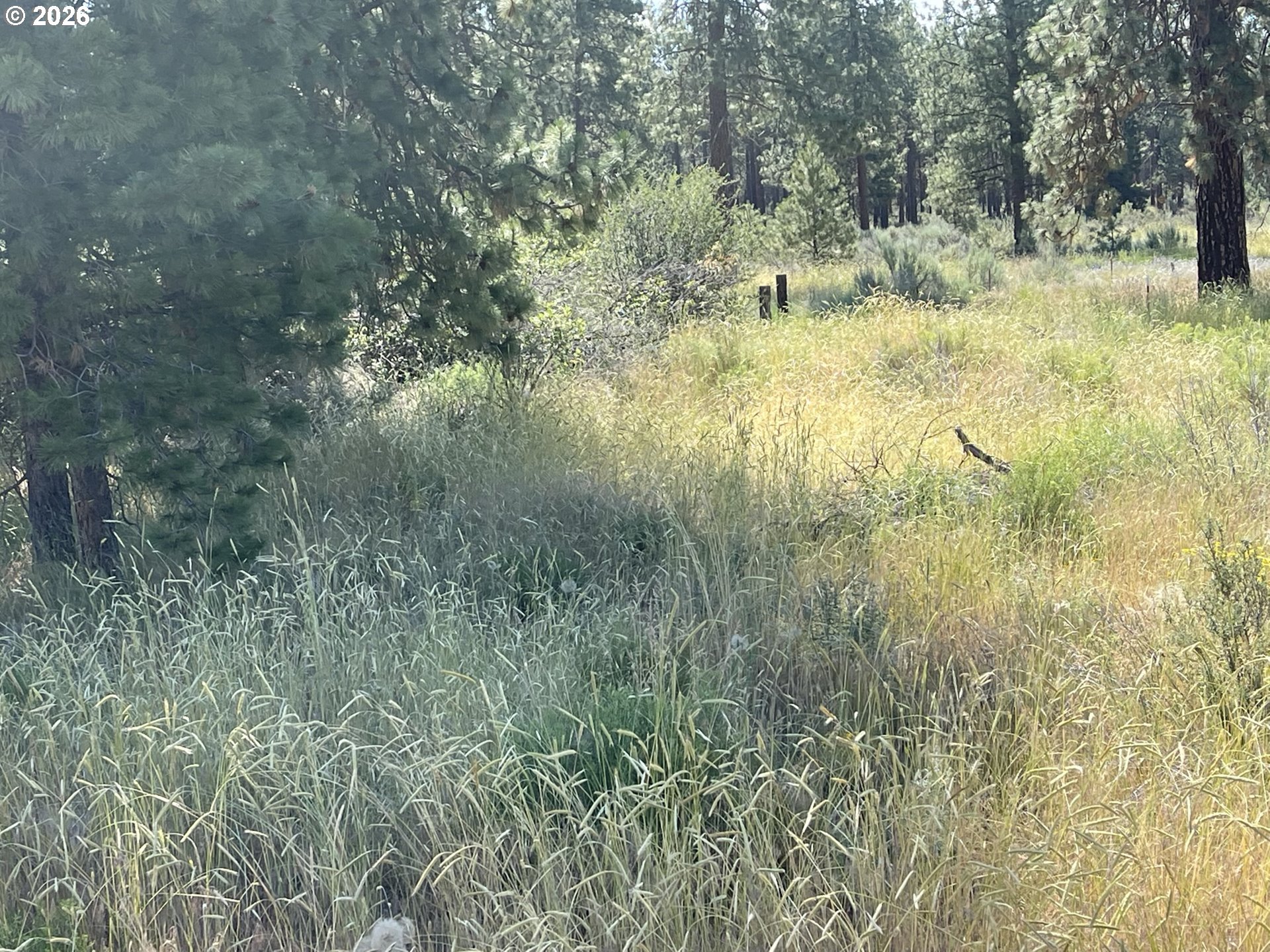 South Chiloquin Road, Unit 100 Chiloquin, OR 97624 - Photo 4 of 9