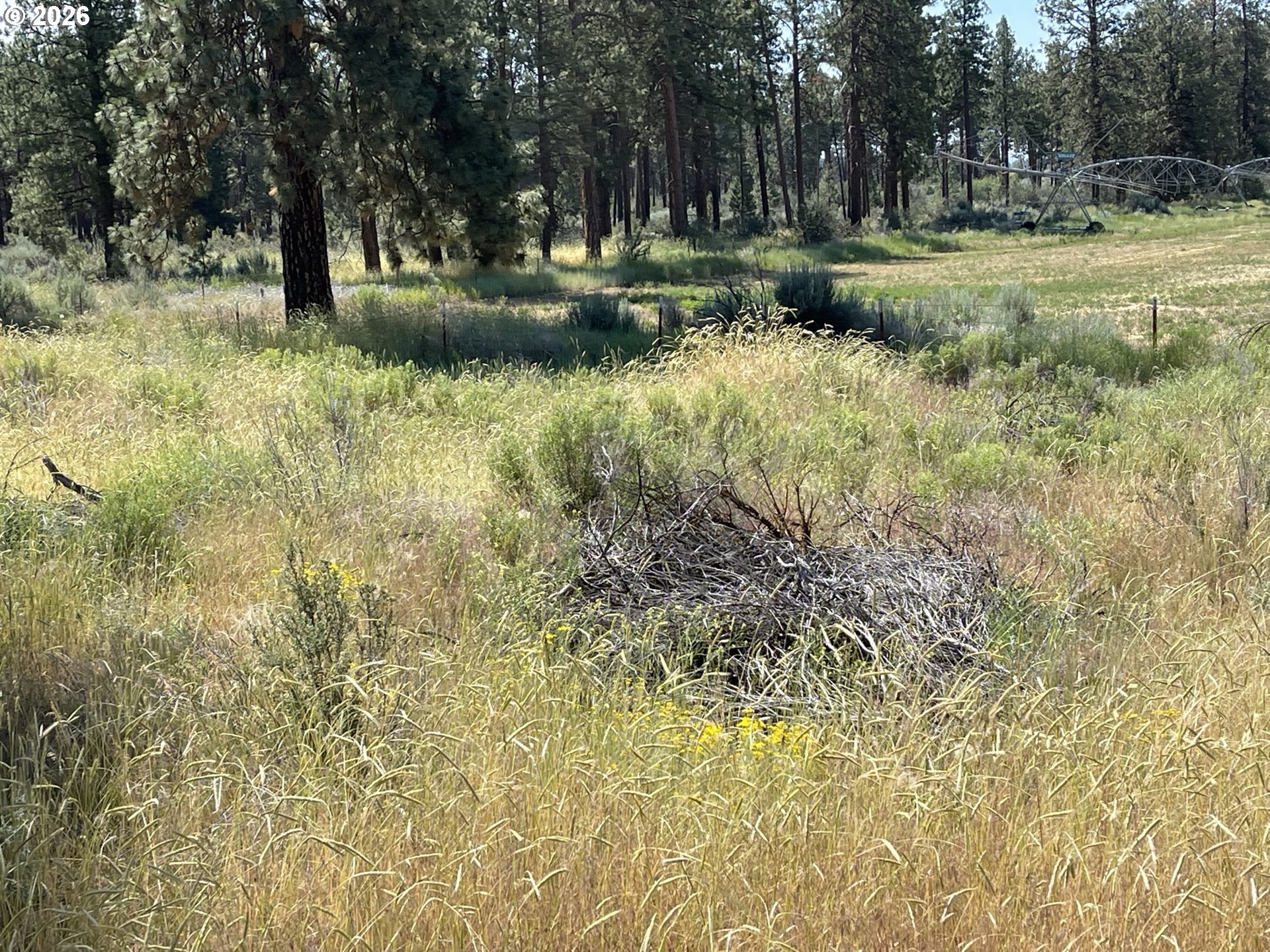 South Chiloquin Road, Unit 100 Chiloquin, OR 97624 - Photo 5 of 9