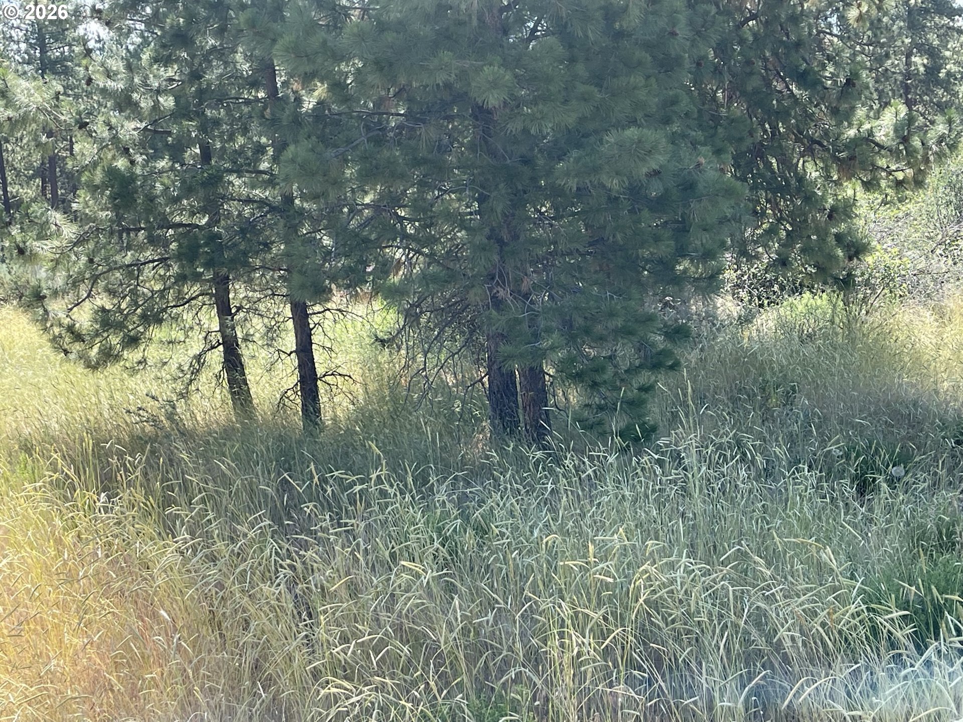 South Chiloquin Road, Unit 100 Chiloquin, OR 97624 - Photo 6 of 9