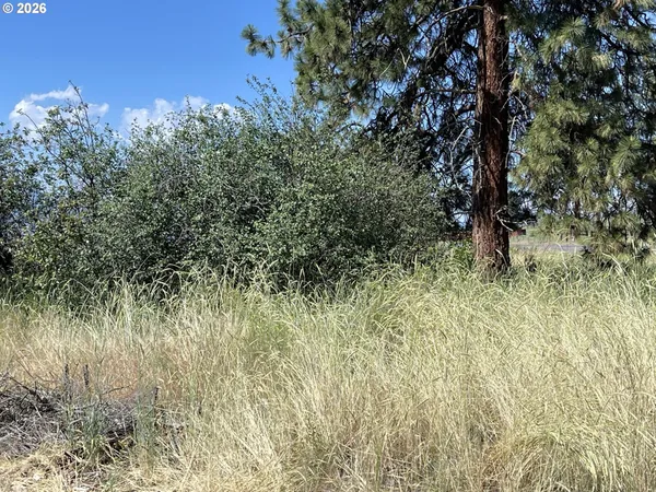 $14,000 | South Chiloquin Road, Unit 100, Chiloquin, OR 97624