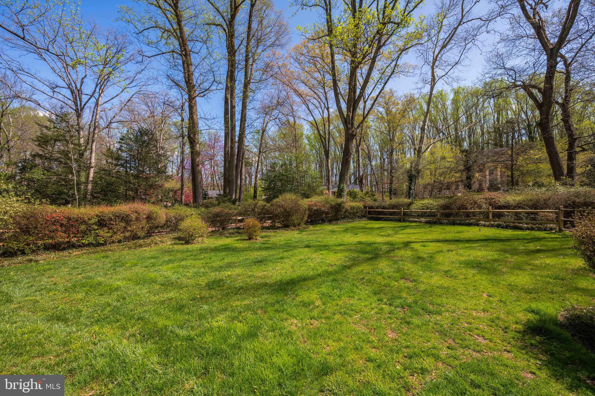 3814 Hillcrest Lane Annandale, VA 22003 - Photo 39 of 48 a backyard of a house with lots of green space
