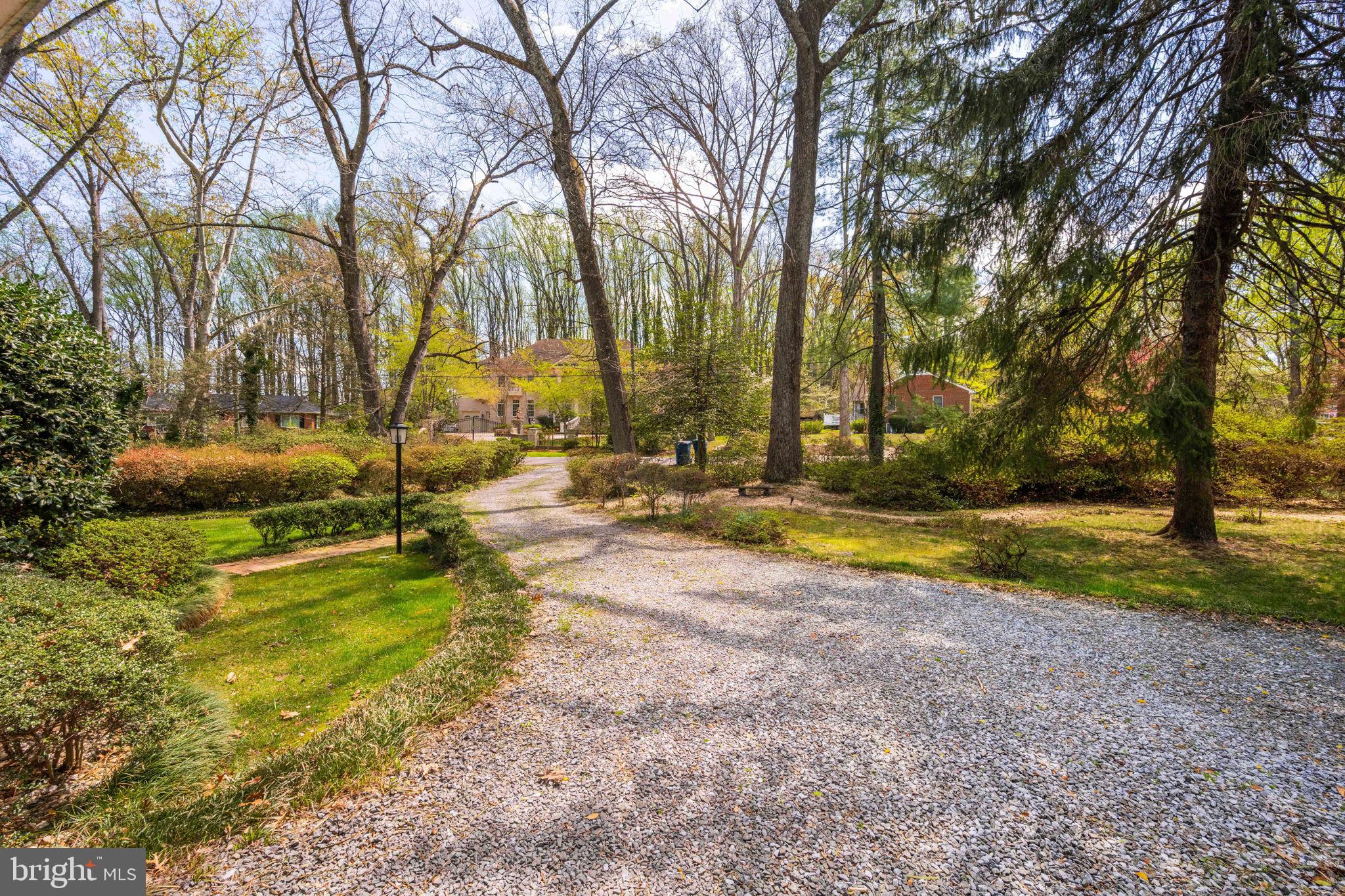 3814 Hillcrest Lane Annandale, VA 22003 - Photo 5 of 48 a view of swimming pool with large trees and outdoor seating