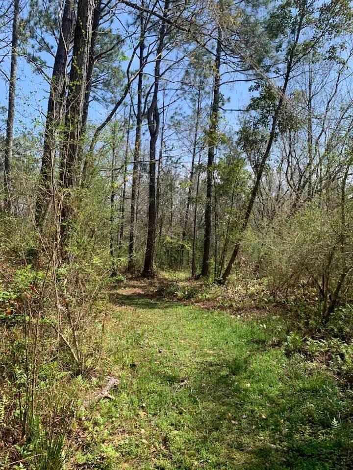 26264 Feely Road Elberta, AL 36530 - Photo 12 of 30