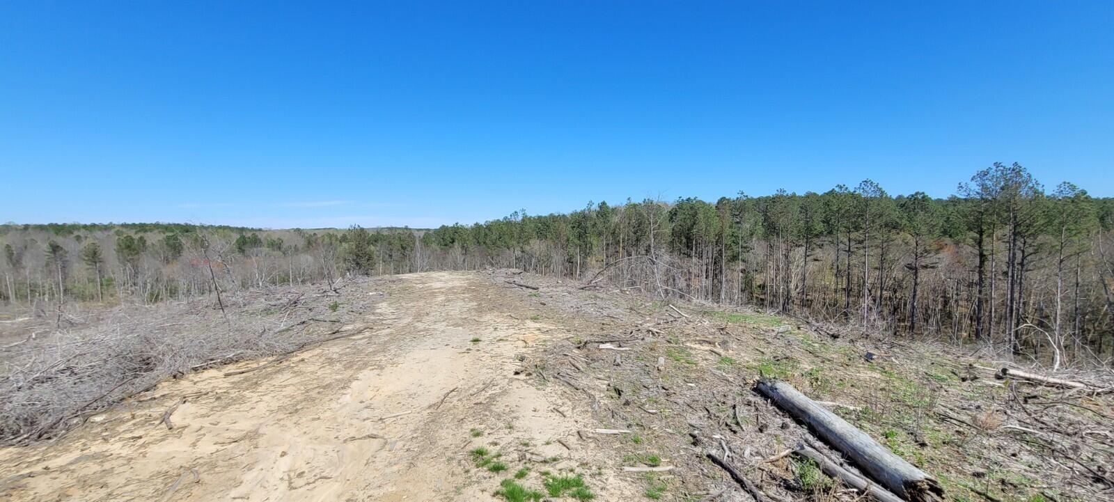 0 Sam Hodges Road Hodges, SC 29653 - Photo 6 of 10