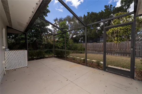 a view of backyard and tree