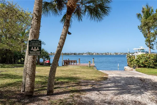 a view of a lake with a palm tree
