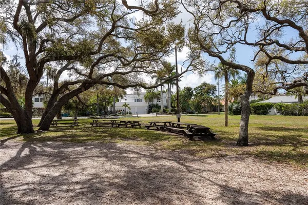 a view of a yard with of trees